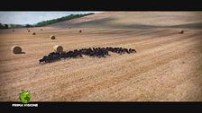 Puntata del 26 ottobre