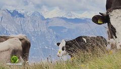 Puntata del 9 novembre