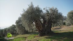 Puntata del 16 novembre