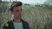 La coltivazione della vigna