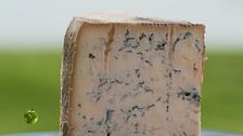 Il blu di capra