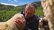 La Val Senales, tra antichi granai e allevamenti di pecore