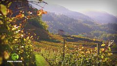 Bollicine di montagna