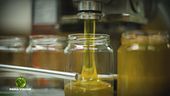 La produzione del miele