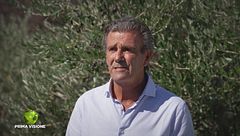 La strada verso la rinascita