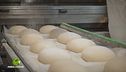La produzione di piadine e pane