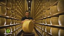 Il Parmigiano Reggiano delle Vacche Rosse