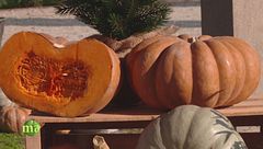 Puntata del 2 febbraio