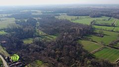 Puntata del 16 marzo