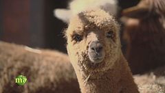 Puntata del 23 marzo