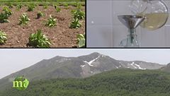 Puntata dell'11 maggio