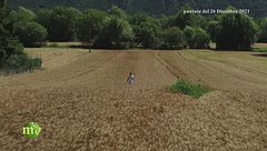 La terra dell'oro rosso di Storo