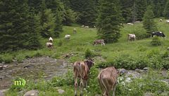 Puntata del 31 agosto