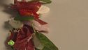 Degustare il prosciutto crudo