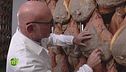 Il controllo della produzione del prosciutto toscano
