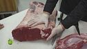 Torino e la macelleria Testa