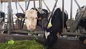Azienda Agricola Biodinamica Cascina Orsine