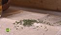 Le erbe aromatiche