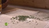 Le erbe aromatiche