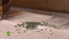 Le erbe aromatiche
