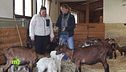 In montagna la collaborazione tra gli agricoltori è fondamentale