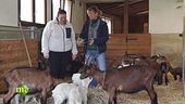 In montagna la collaborazione tra gli agricoltori è fondamentale