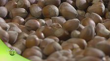 Puntata del 31 agosto - Seconda parte