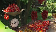 Puntata del 28 settembre- Seconda parte