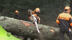 Puntata del 12 ottobre - Prima parte