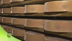 Puntata del 19 ottobre - Prima parte