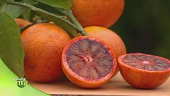 Puntata del 2 novembre - Seconda parte