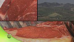 Puntata del 30 novembre - Prima parte