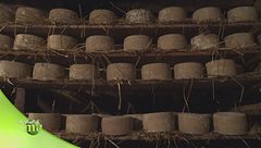 Puntata del 30 novembre - Seconda parte