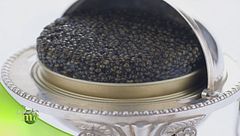 Puntata del 14 dicembre - Prima parte