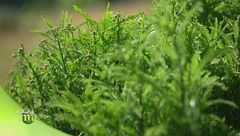 Puntata dell'11 ottobre