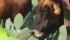 Puntata del 18 ottobre