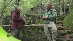 Puntata dell'1 novembre