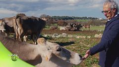 Puntata del 29 novembre