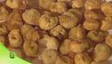 Ripieno tortellini