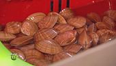 I frutti di mare