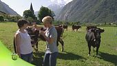 La passione per la montagna