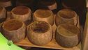 Formaggi di pecora abruzzesi