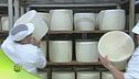 La produzione del pecorino romano