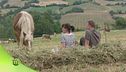 Antico podere