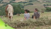 Antico podere