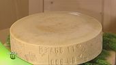 Formaggio di malga