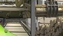 La lavorazione del tronco
