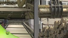 La lavorazione del tronco