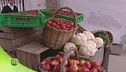 Economia agricola familiare