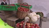 Economia agricola familiare
